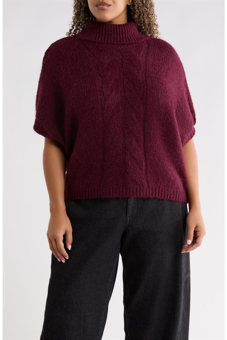 Dolman Sleeve Turtleneck Sweater, Main, color, WINE