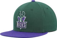 Mitchell & Ness Men's Mitchell & Ness Green/Purple Milwaukee Bucks Hardwood Classics Team Two-Tone 2.0 Snapback Hat