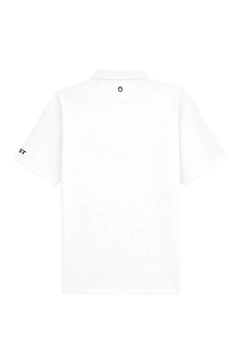 Performance Raglan Polo 2.0, Alternate, color, White