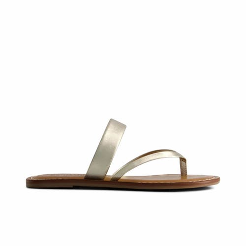 Bernardo Footwear Leia Thong Sandal In Champagne