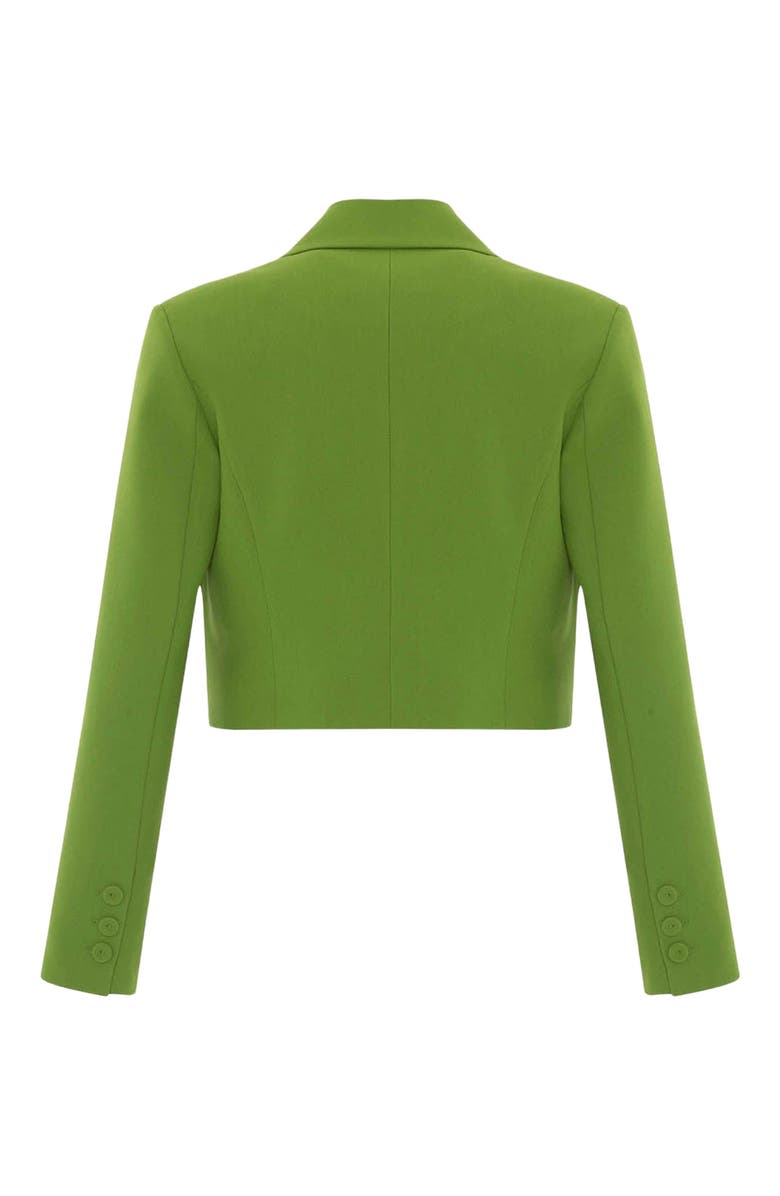 THEO The Label Harmonia Cropped Jacket, Alternate, color, 