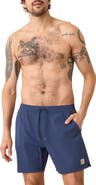 Marine Layer Navy/Blue Striped Lined Sport Hybrid Swim Shorts