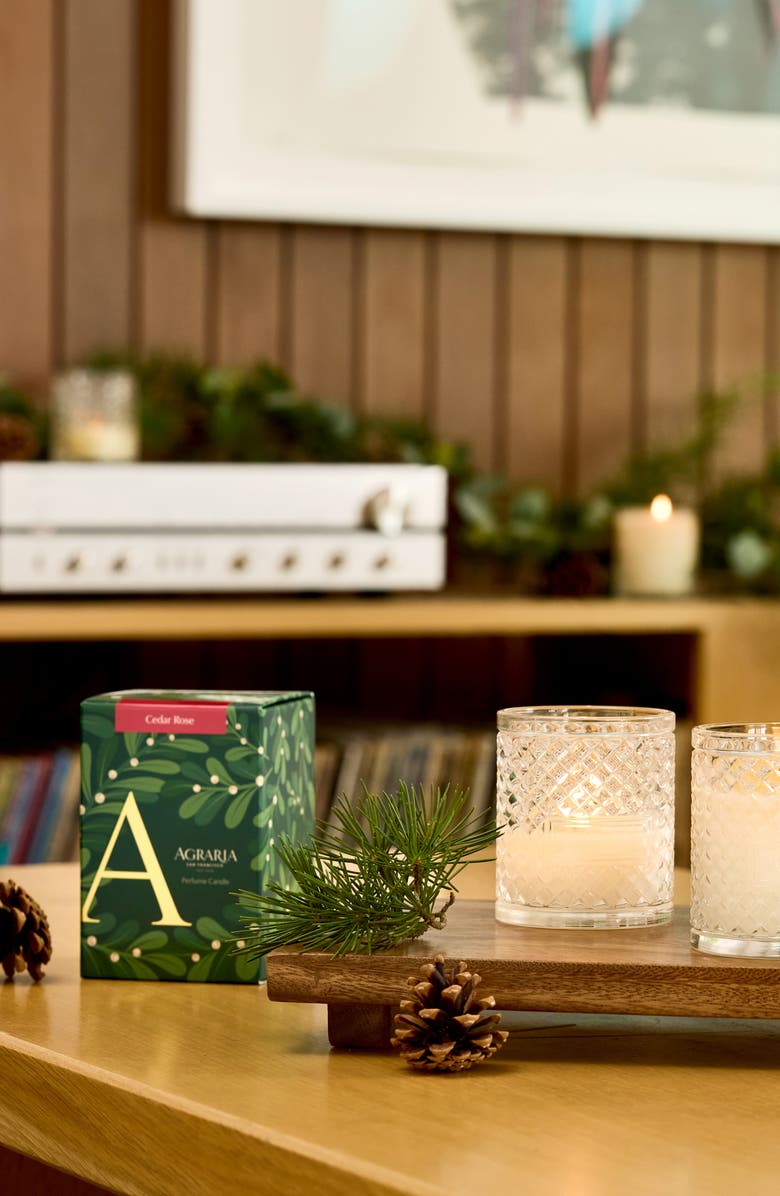 Agraria San Francisco Holiday Perfume Candle, Alternate, color, Cedar Rose