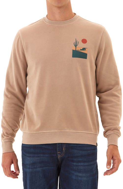 THREADS 4 THOUGHT THREADS 4 THOUGHT DESERT CACTUS MINERAL WASH CREWNECK SWEATSHIRT