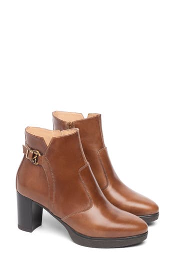 Nerogiardini Platform Bootie In Brown