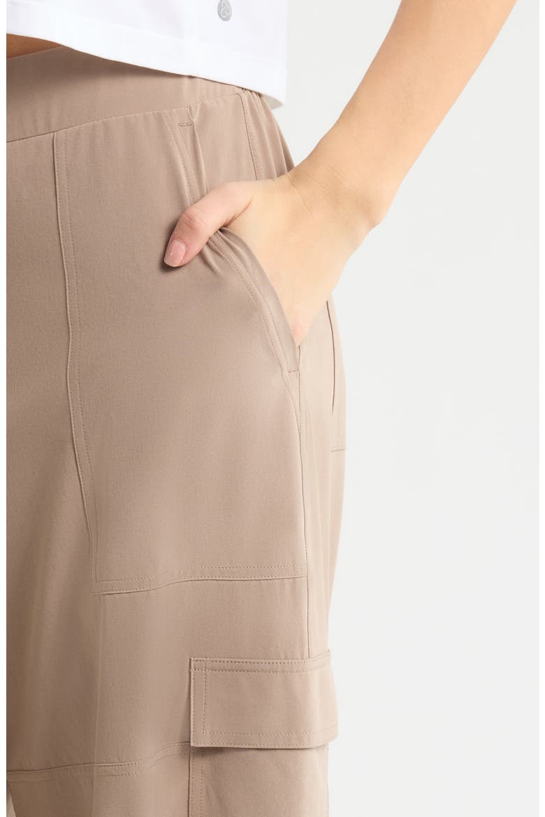 Ashe Drawcord Cargo Pants, Alternate, color, CLAY