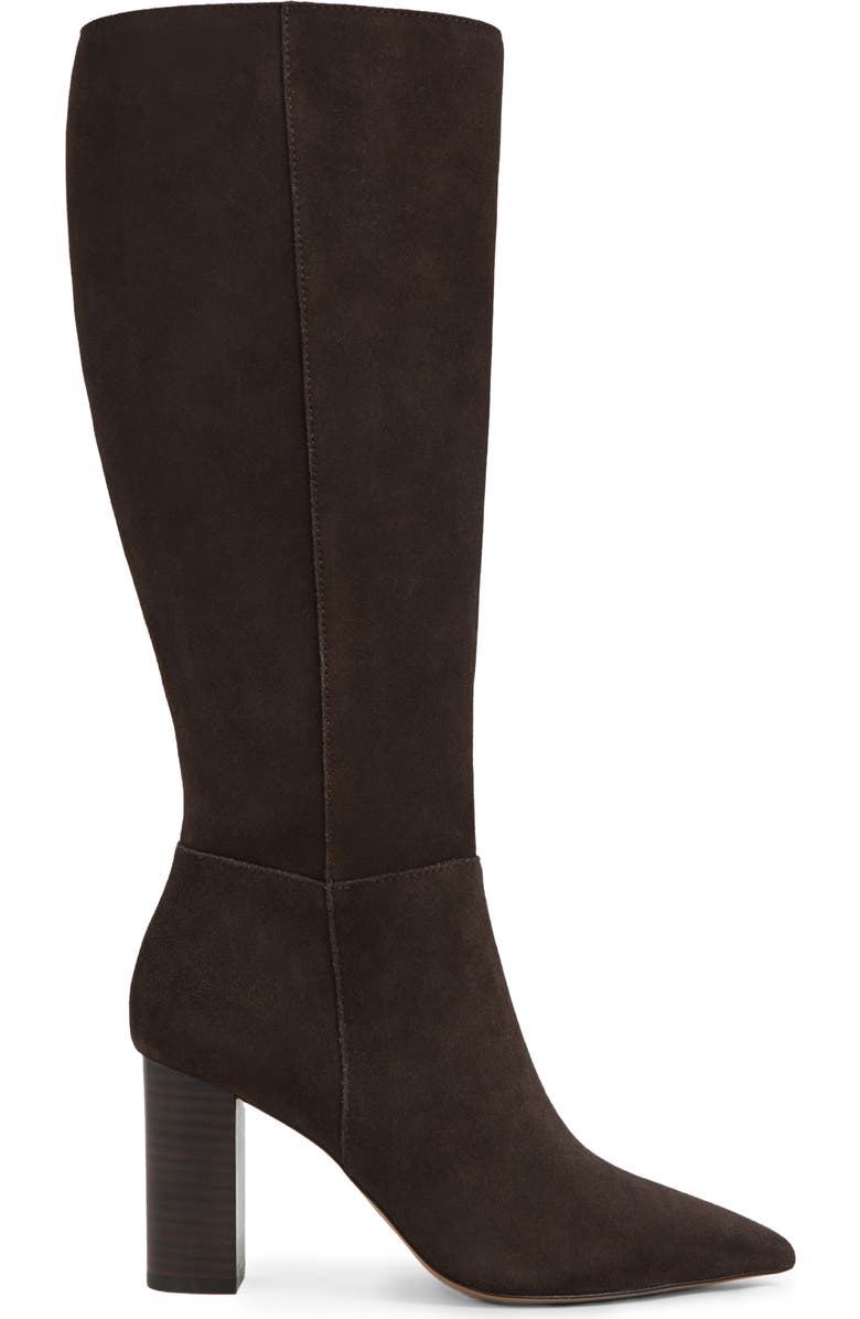 Reiss Bianca Pointed Toe Knee High Boot, Alternate, color, Chocolate