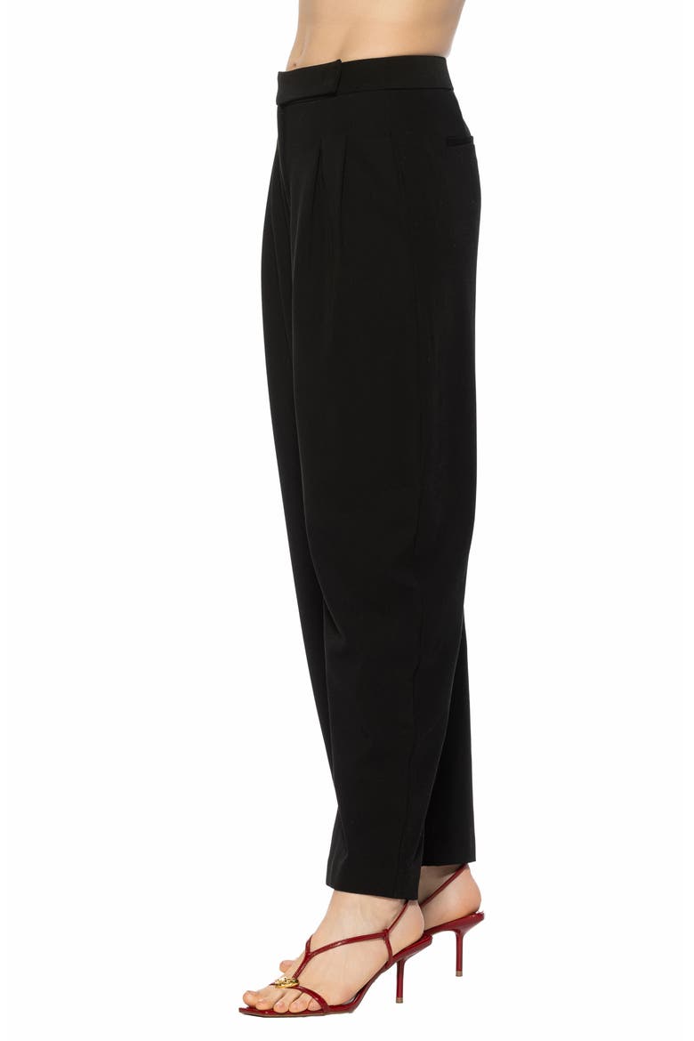 Solene Barrel Leg Pants, Alternate, color, BLACK