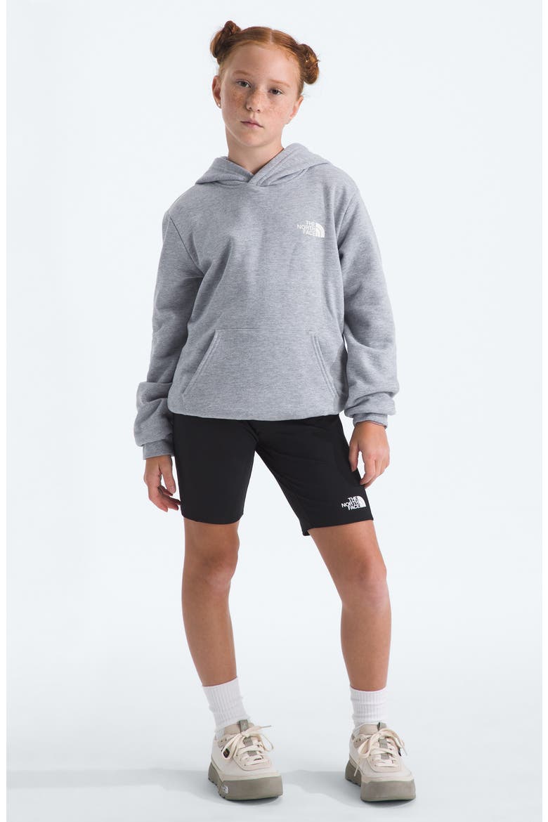 Kids' Ember Fade Pullover Hoodie, Alternate, color, TNF PALE GREY HEATHER