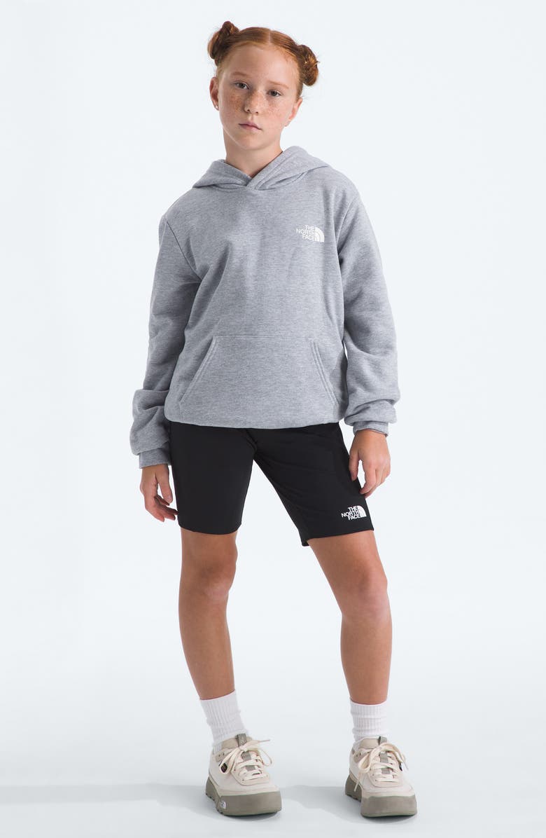 The North Face Kids' Ember Fade Pullover Hoodie, Alternate, color, Tnf Pale Grey Heather