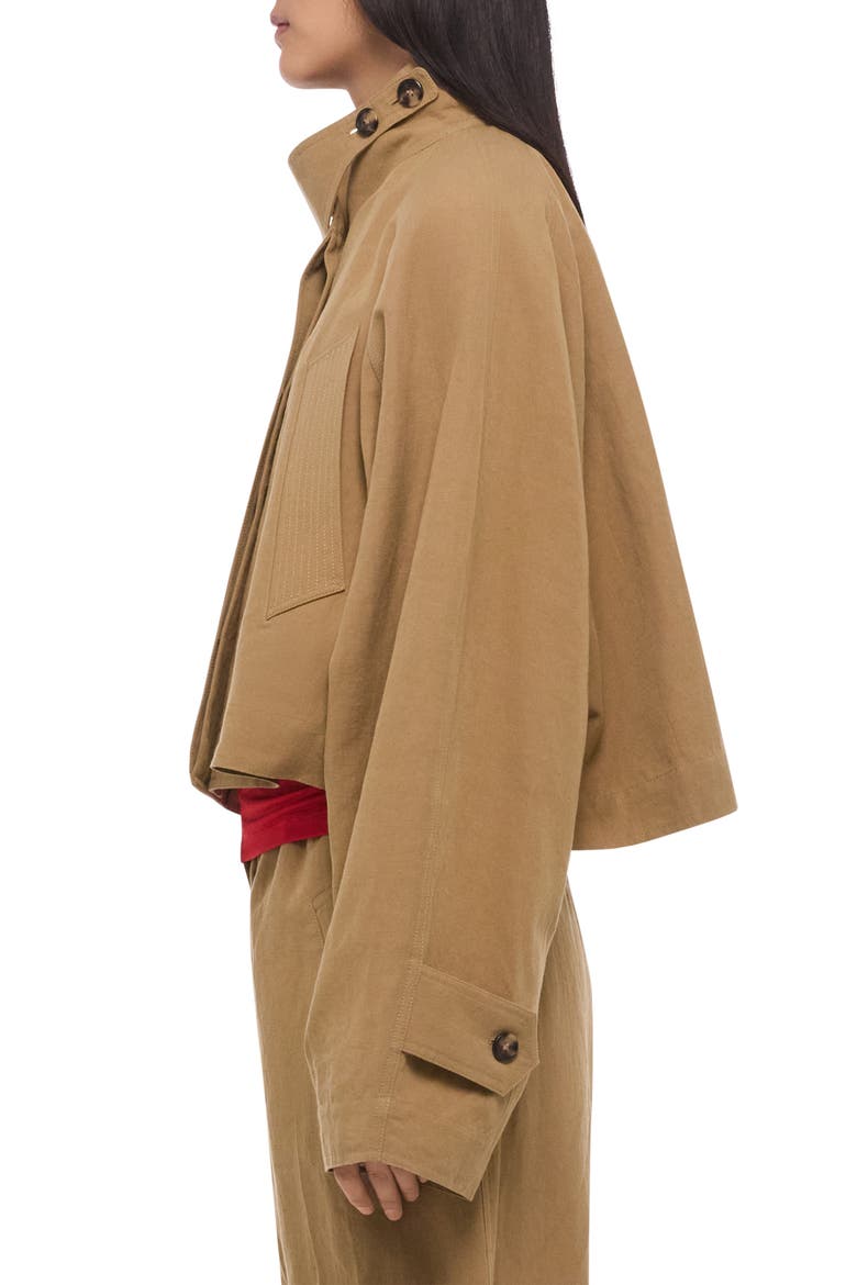 Sandwash High Collar Crop Trench Coat, Alternate, color, TRENCH