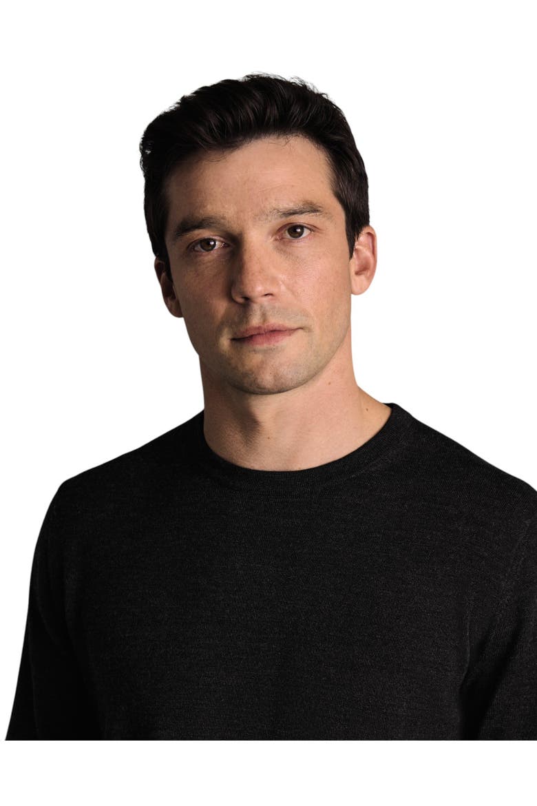 Pure Merino Crew Neck Sweater, Alternate, color, Grey