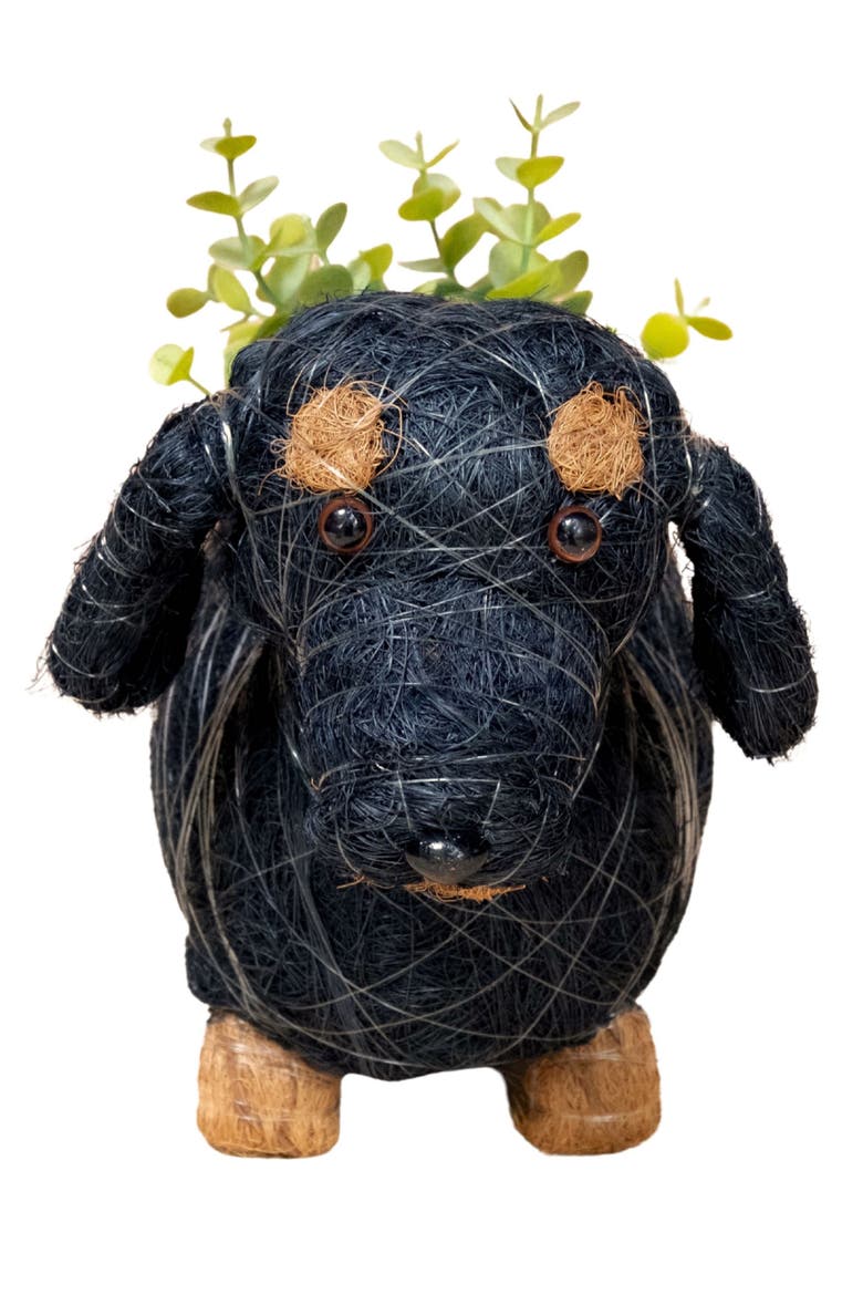 Baby Dachshund Handwoven Planter, Alternate, color, BLACK / BROWN