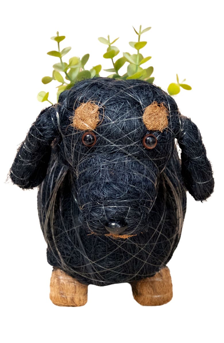 LIKHA Baby Dachshund Handwoven Planter, Alternate, color,