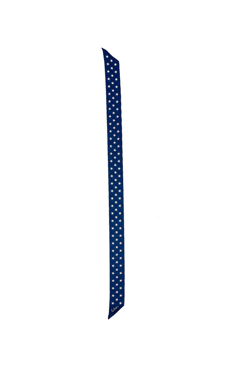 Echo Stars And Stripes Silk Ribbon Scarf, Alternate, color, Navy