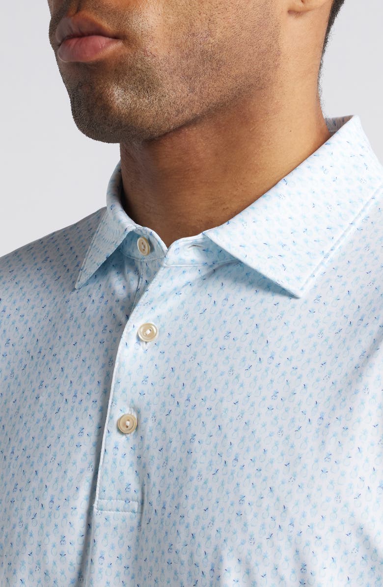 Peter Millar Pina Skullada Performance Jersey Polo, Alternate, color, 