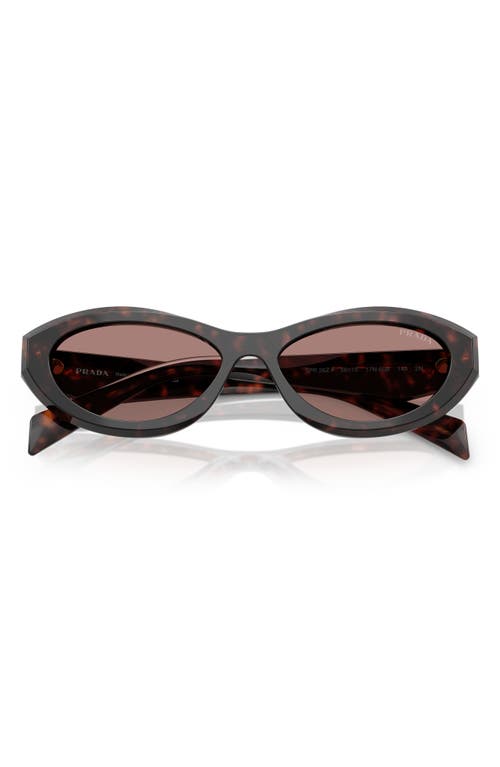 Prada 56mm Oval Sunglasses In Brown Tortoise