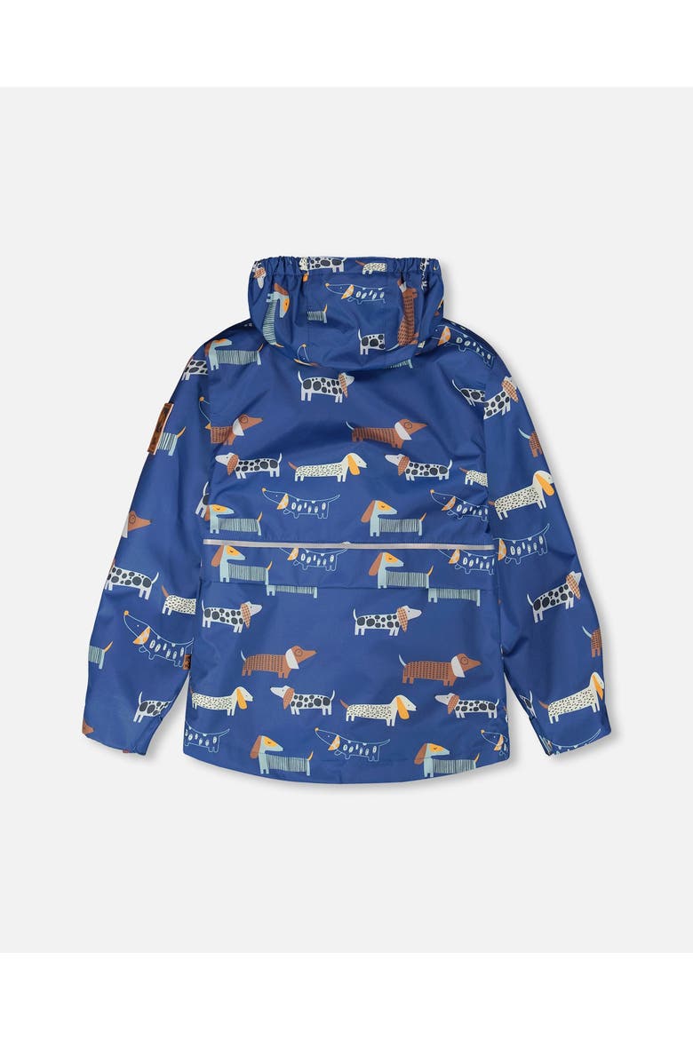3-in-1 Two-Piece Mid-Season Dog Outerwear Set, Alternate, color, Blue Printed Dogs