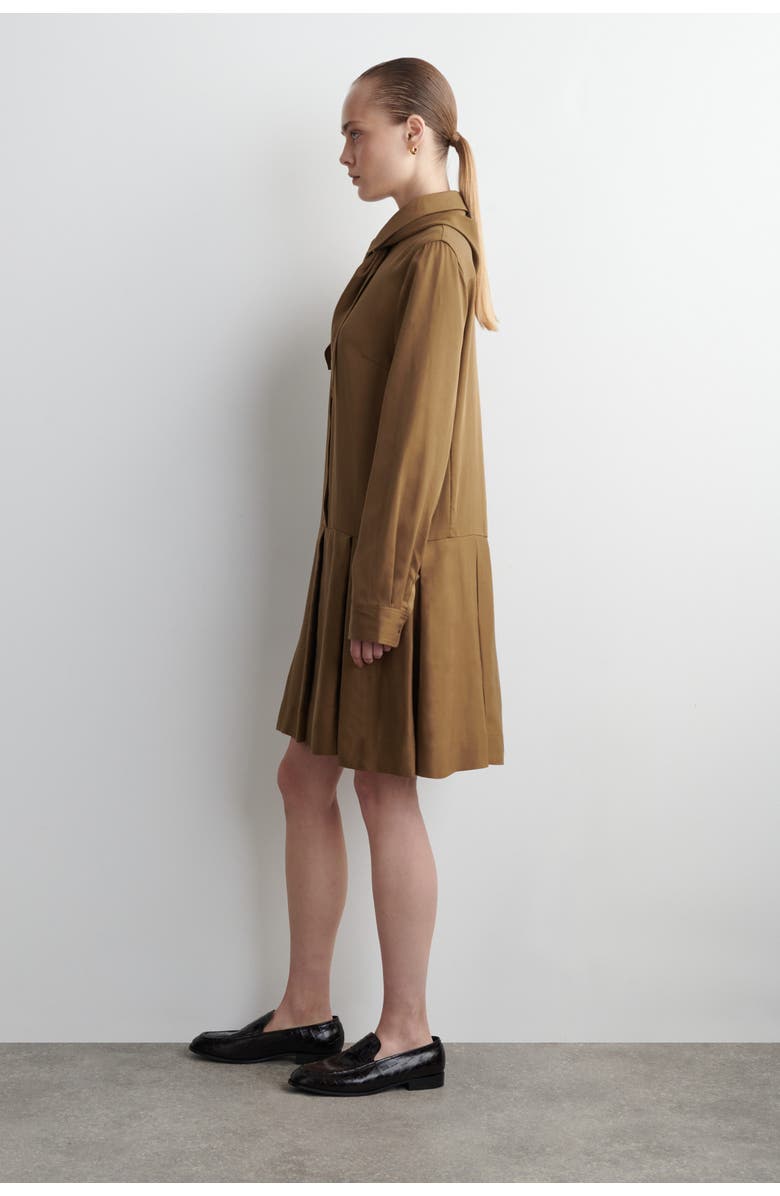 COS Scarf-Detail Dropped-Waist Mini Dress, Alternate, color, Brown