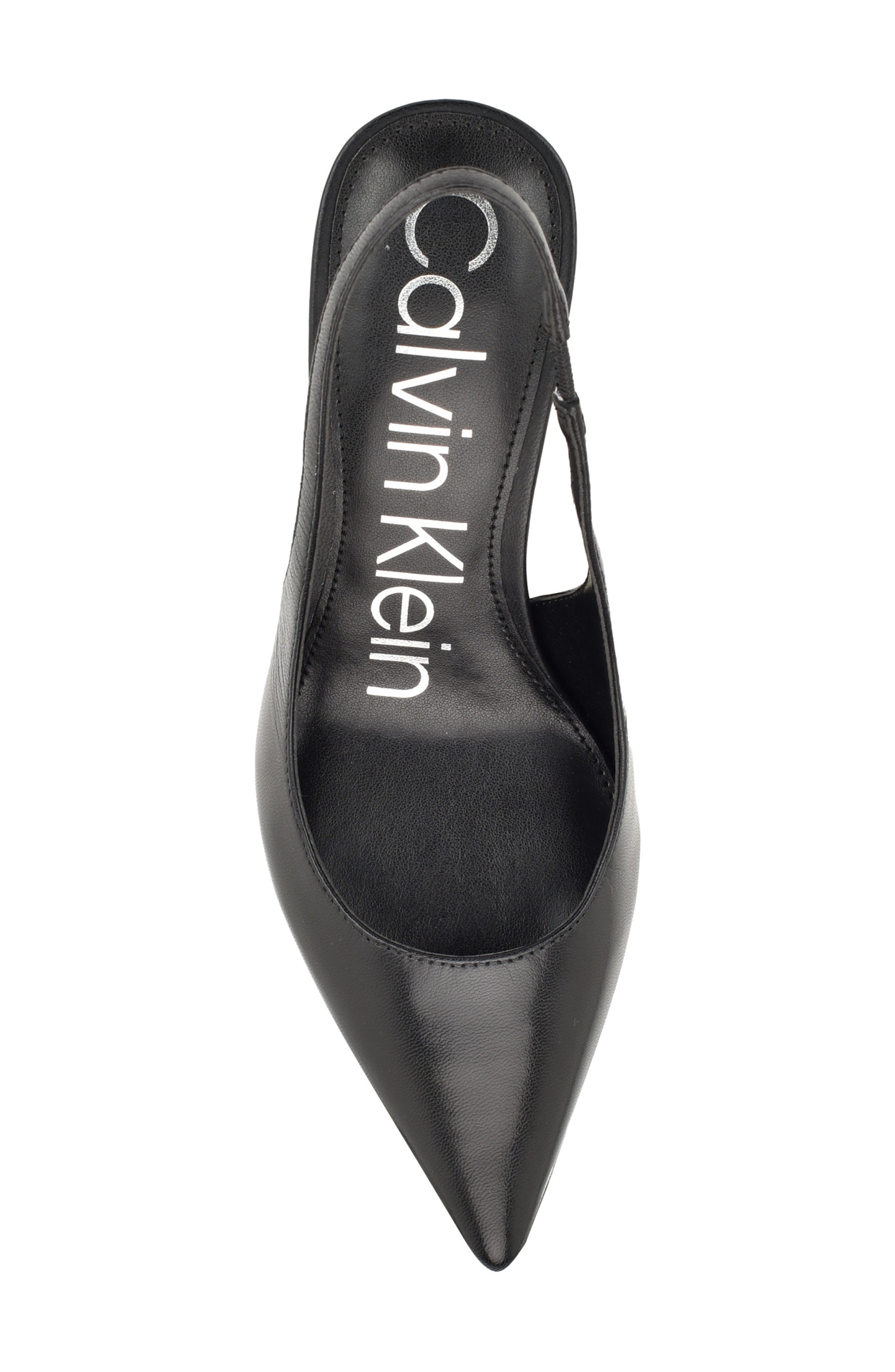 Calvin Klein Cinola Slingback Pointed Toe Pump, Alternate, color, Black Leather