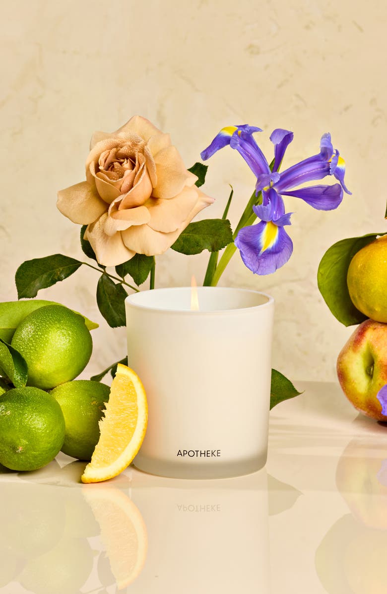 APOTHEKE Classic Scented Candle, Alternate, color, Canvas