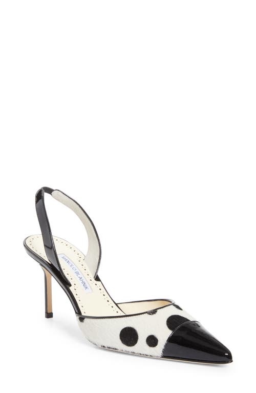 Manolo Blahnik Capsli Pointed Toe Slingback Pump