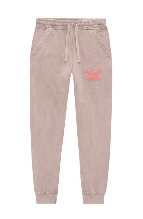 Dalix Sunny Days Washed Jogger Pant In Brown
