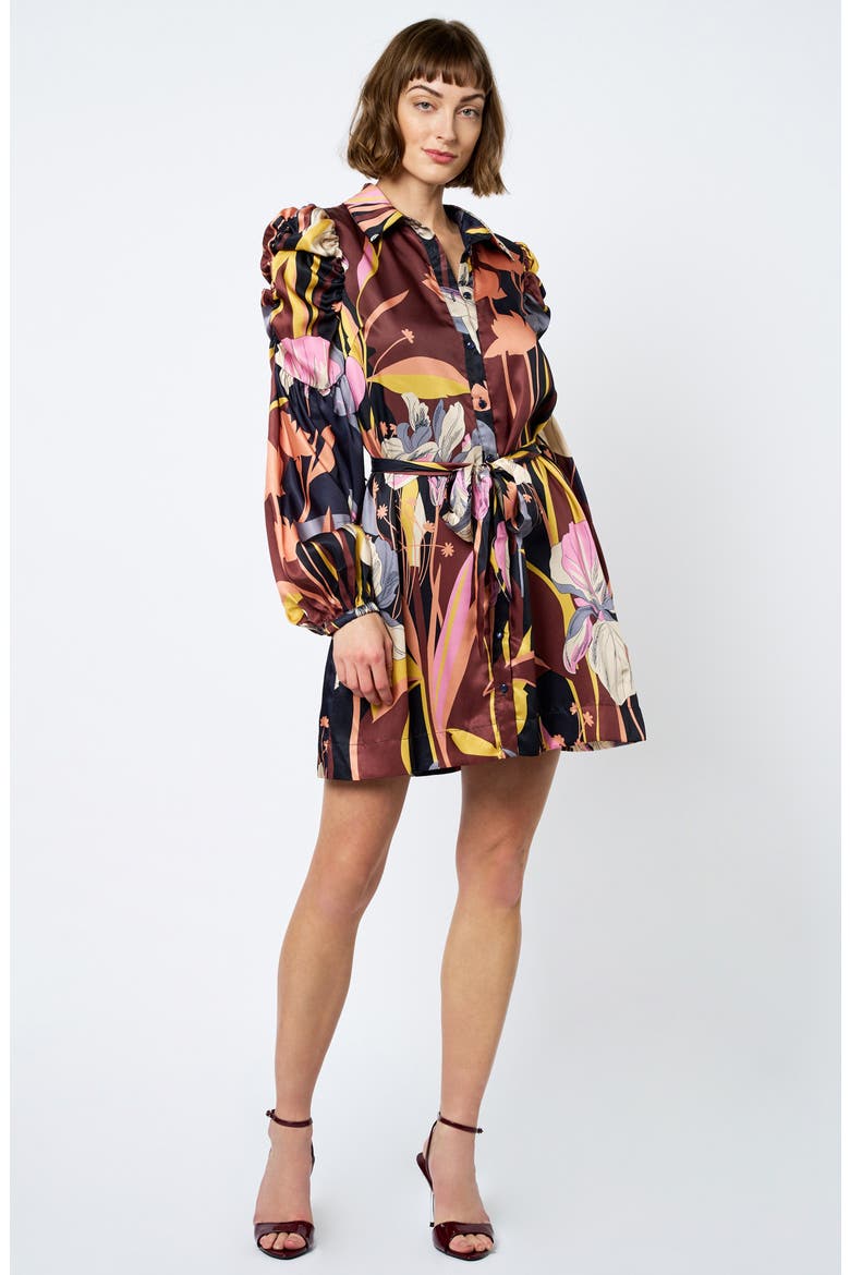 Destin Long Sleeve Shirtdress, Alternate, color, BROWN