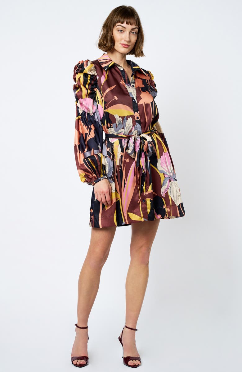 CIEBON Destin Long Sleeve Shirtdress, Alternate, color, Brown