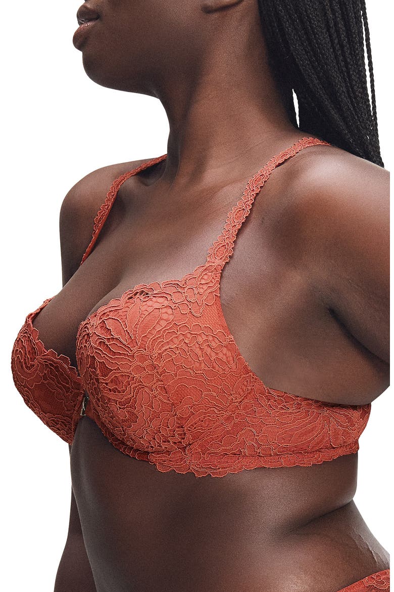 Romantic Corded Lace Push-Up Bra, Alternate, color, DRY POPPY BROWN
