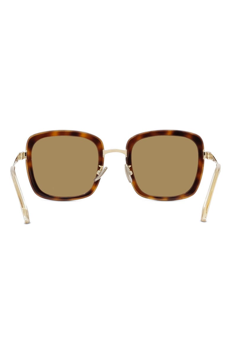 CELINE 53mm Square Sunglasses, Alternate, color,