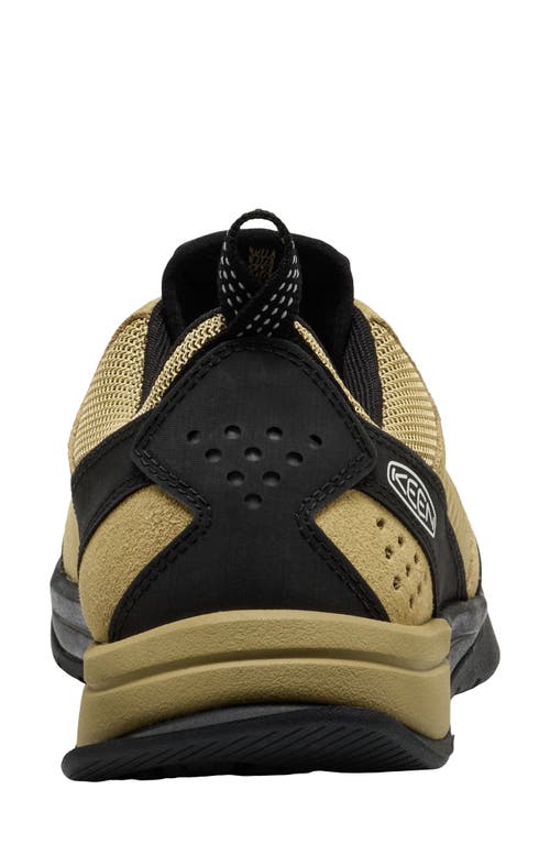 Keen Jasper Iii Sneaker In Green