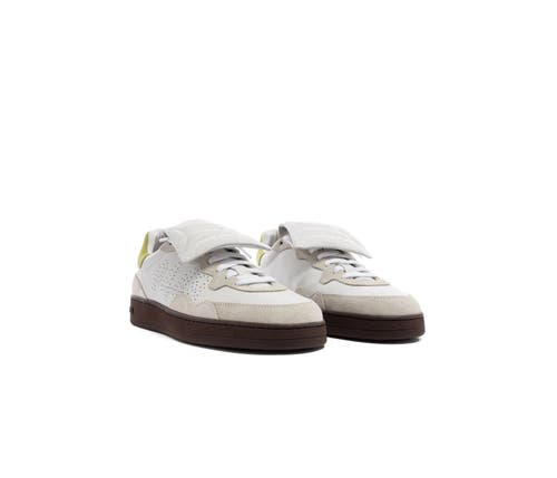 P448 Vert Ball Sneaker In Multi