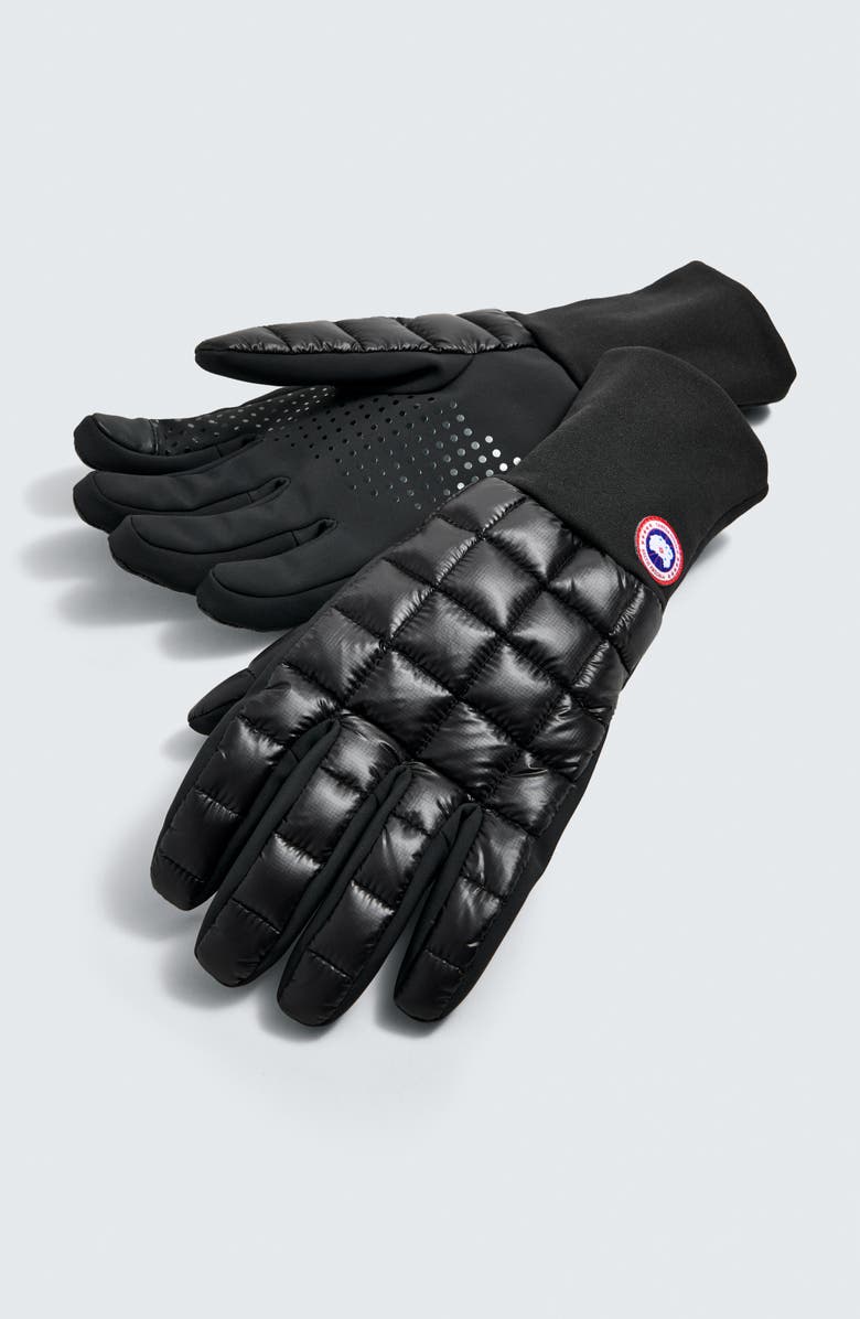 Canada Goose Northern Liner Gloves, Alternate, color,