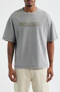CRIMINAL DAMAGE Statute Graphic T-Shirt