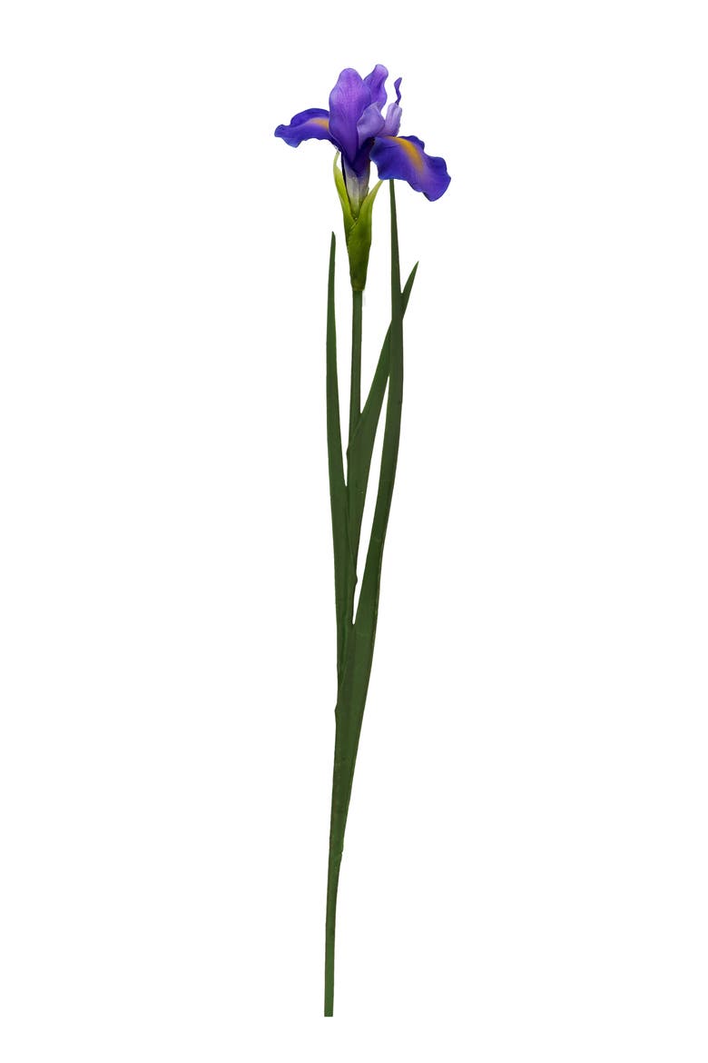 Iris Stem, Set of 12, Main, color, Purple