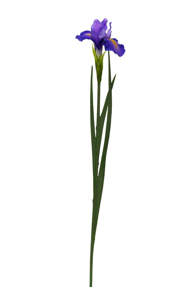 Mark Roberts Iris Stem, Set of 12, Main, color, Purple