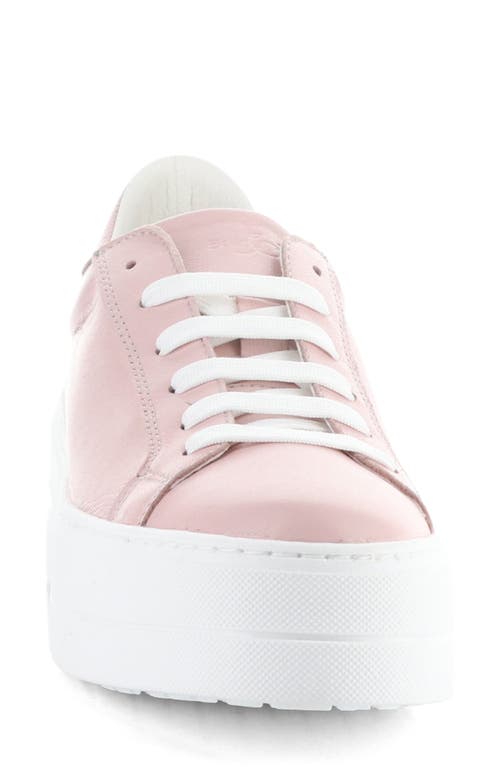 Bos. & Co. Maya Platform Sneaker In Pink