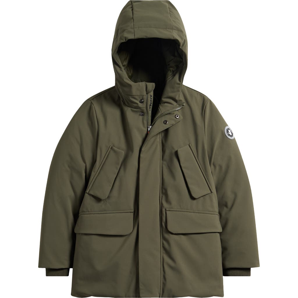 Save The Duck Kids' Theo Hooded Jacket In Green