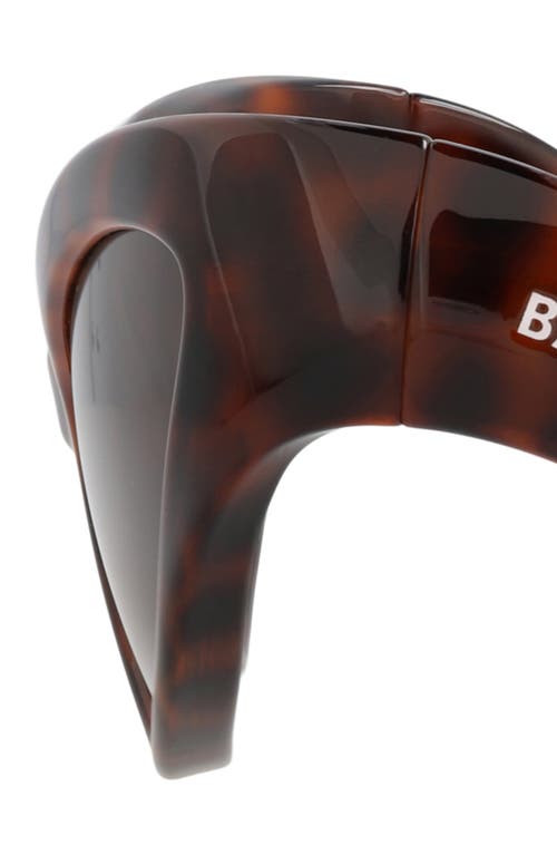 Balenciaga Acetate Havana Sunglasses In Brown