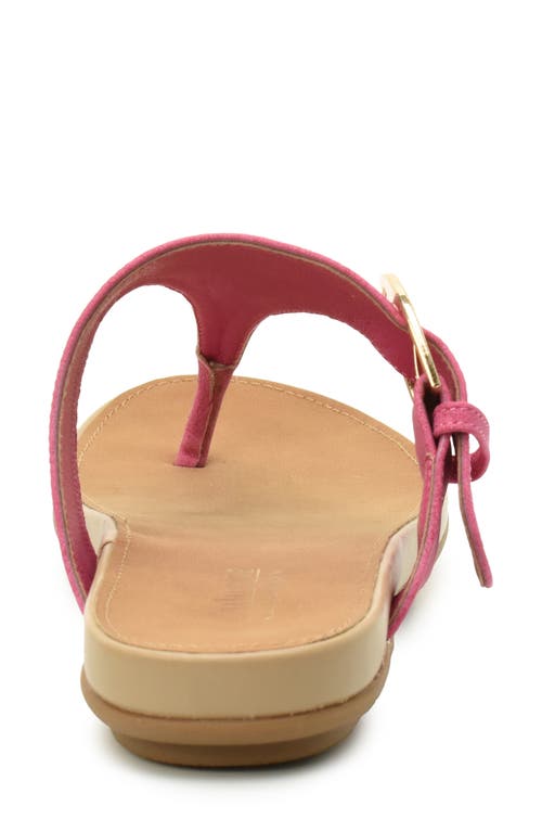 Catherine Catherine Malandrino Martie Thong Toe Sandal