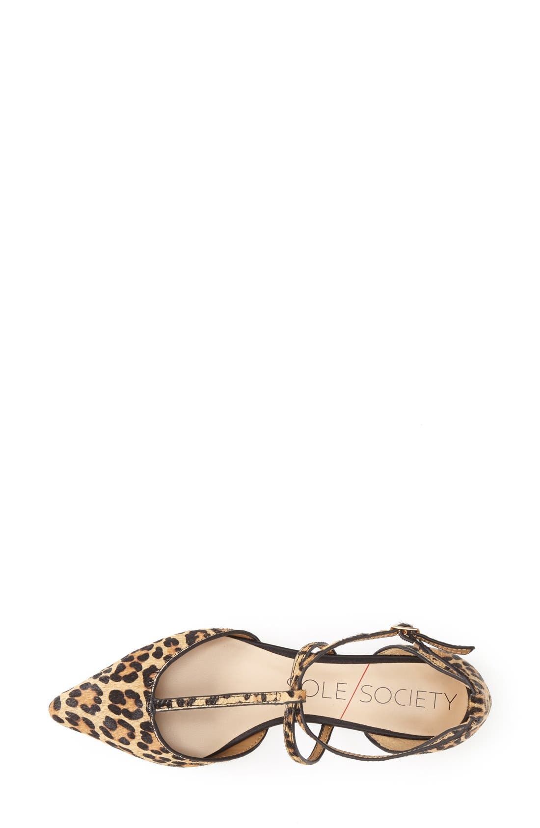 'Chandler' Pointy Toe Flat, Alternate, color, LEOPARD