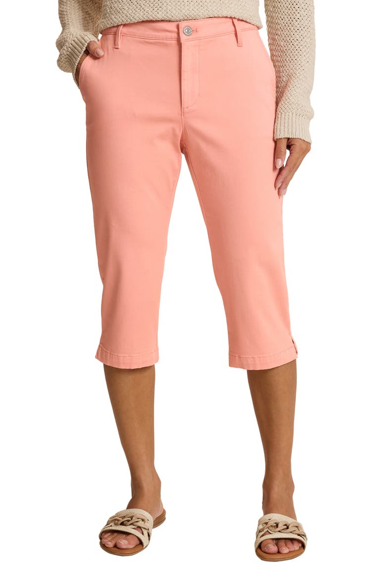 Boracay Beach Capri Pants, Main, color, CORAL PINK