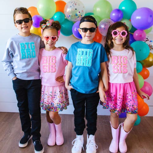 Sweet Wink Big Bro Patch Sweatshirt In Grey