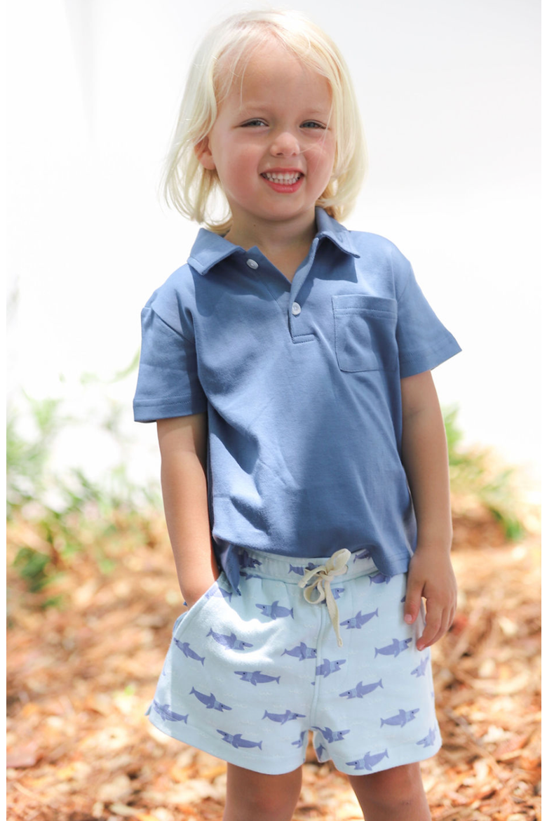 Archie Polo Shirt, Alternate, color, Lake Blue