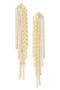 Chain & Crystal Fringe Drop Earrings