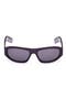 selected Shiny Violet/ Violet