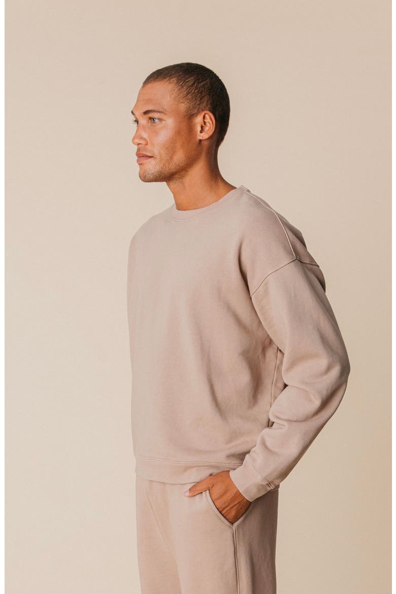 Men's Organic Cotton Teddy Oversized Crewneck, Alternate, color, Fawn
