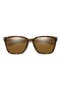 selected Vintage Tortoise / Glass Brown
