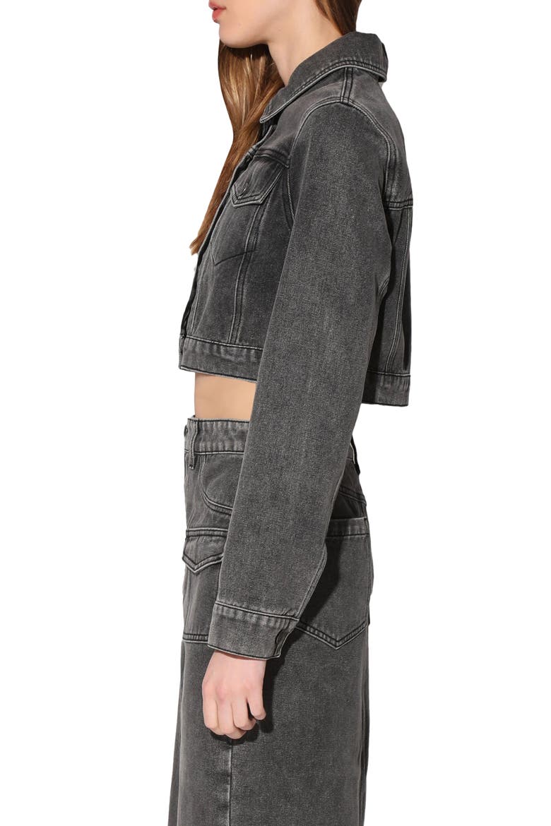 Tressa Crop Denim Jacket, Alternate, color, GREY WASH